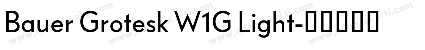 Bauer Grotesk W1G Light字体转换